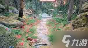 天国拯救初代在那里采集荨麻和颠茄