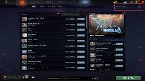 DOTA2游廊功能怎么用
