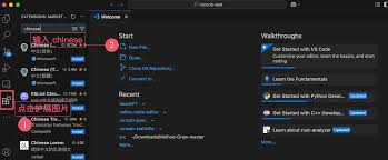 vscode如何设置中文