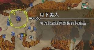 怪物猎人荒野各地图特产采集路线怎么规划