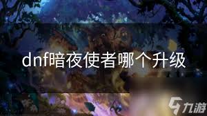 DNF兔女郎暗夜使者外观如何介绍