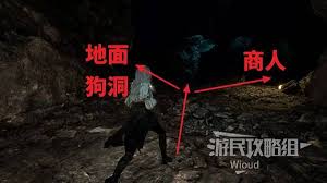 光与影33号远征队吕涅繁叶结怎么获取