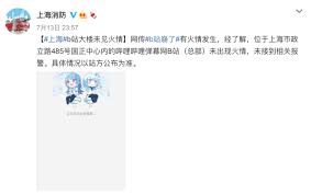 哔哩哔哩服务器为何崩溃