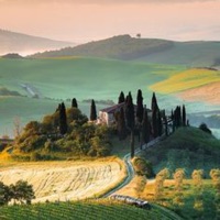 奇幻天然调色板最新版