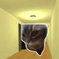 追逐猫猫的迷宫最新版