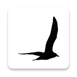 深度背单词免费版