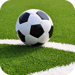 我是足球先生免费版