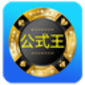 公式王五星独胆计划手机版