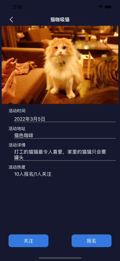 双双