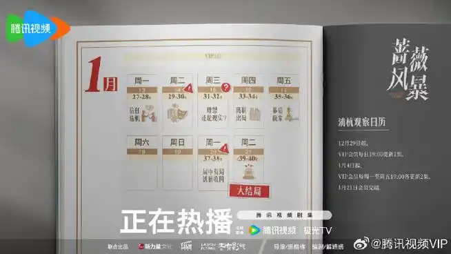《蔷薇风暴》追剧日历介绍