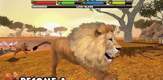 狮子模拟器安卓版