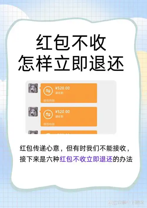 怎样查看红包退回次数