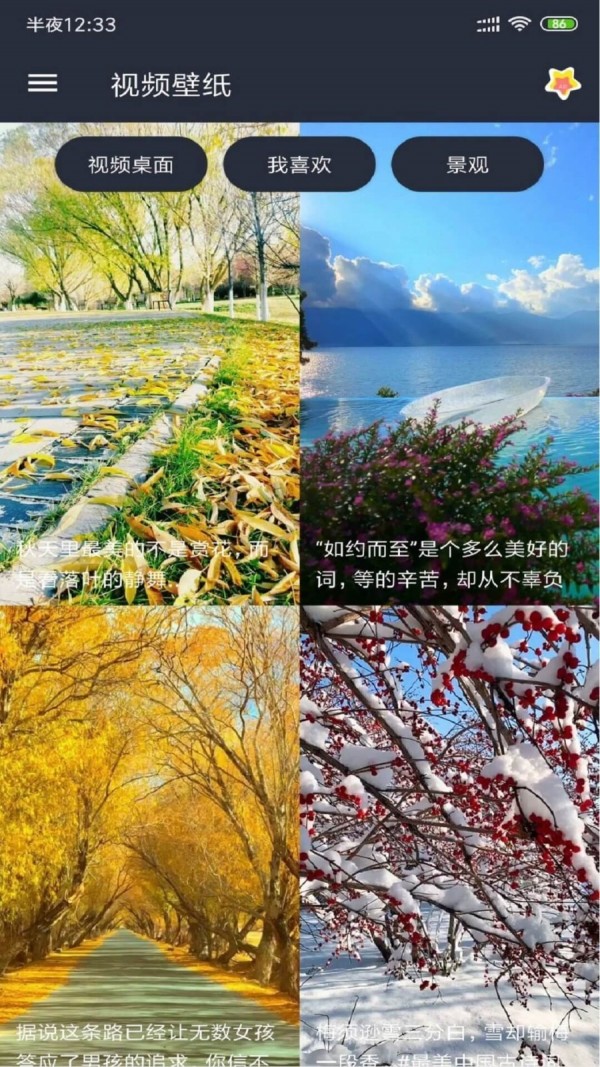 动漫视频壁纸手机版