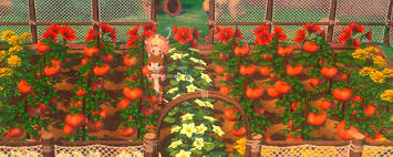 牧场物语风之繁华集市秋季作物有哪些