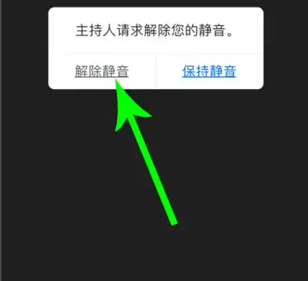 腾讯会议怎样进行静音操作