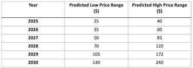 vana币未来价值如何