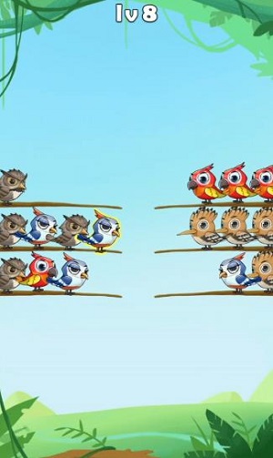 百鸟齐飞红包官网版