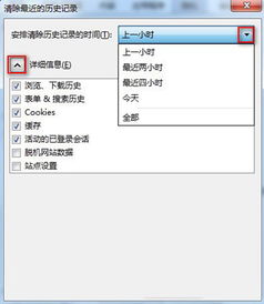 火狐浏览器如何清理ie缓存文件