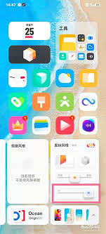 vivo怎么隐藏桌面图标字体显示