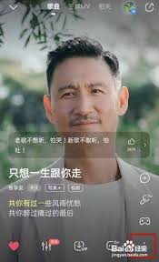 手机酷狗音乐怎么把歌词背景改成自己喜欢的图片