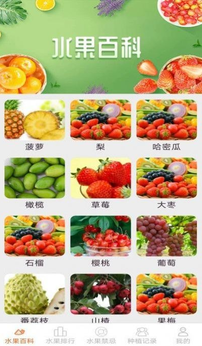 果果多点最新版